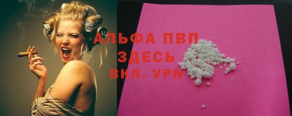 крисы Абаза