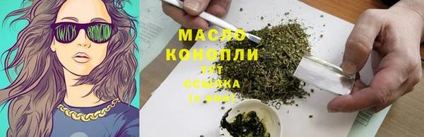 крисы Абаза