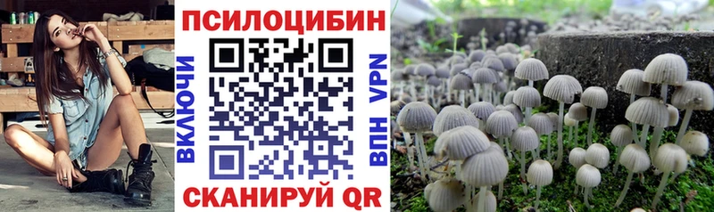 OMG онион  Хасавюрт  shop формула  Псилоцибиновые грибы мухоморы 